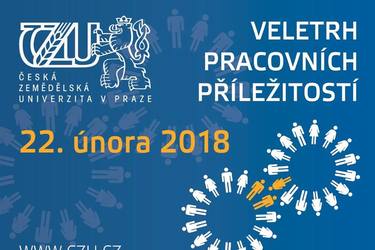 Pracovní příležitosti jsou za rohem!