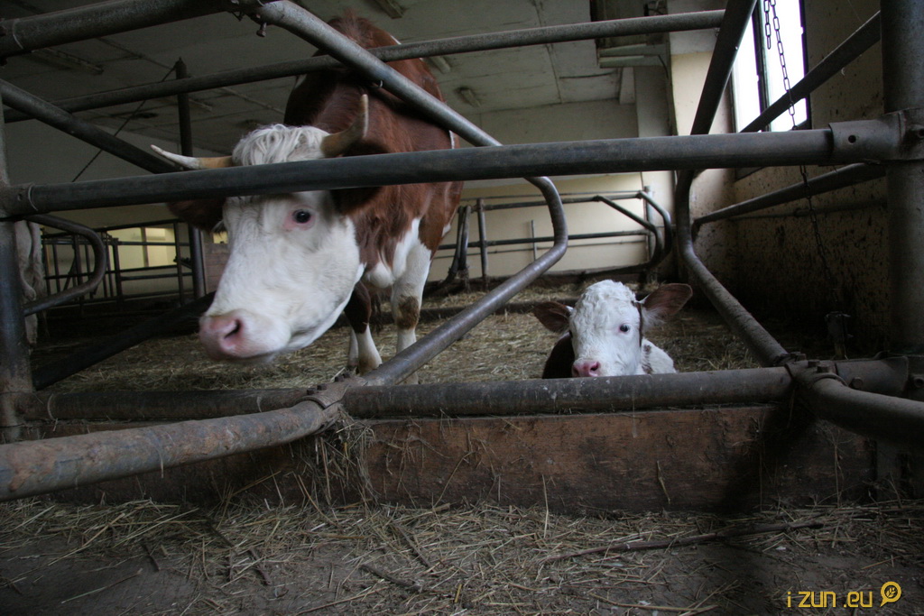 Dana a její maminka Dana a její maminka