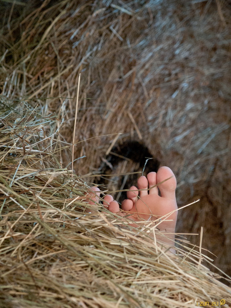 Na zbytek čekejte do příští neděle Na zbytek čekejte do příští neděle