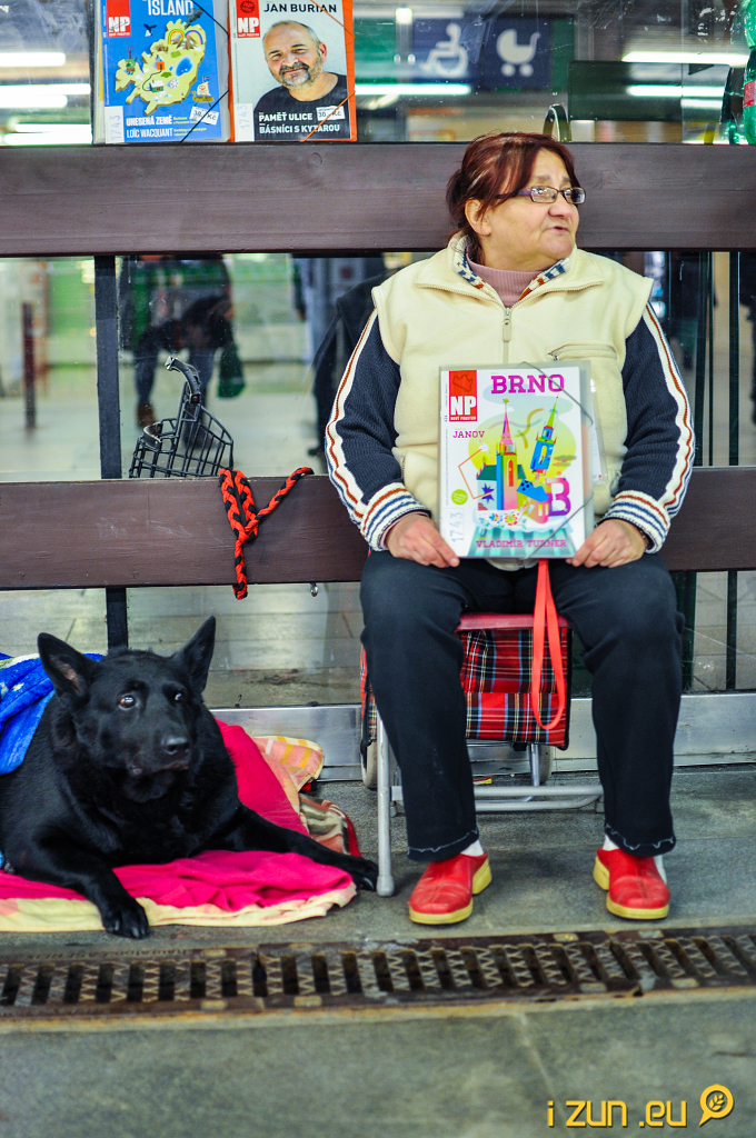 Paní Irena z Dejvické Paní Irena z Dejvické