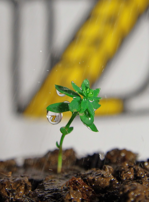 ČZU nám pomáhá růst ČZU nám pomáhá růst