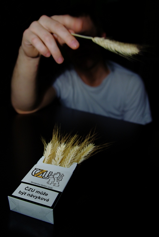 Ministerstvo školství varuje: ČZU může být návyková Ministerstvo školství varuje: ČZU může být návyková