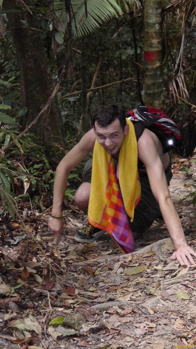 Cesta pralesem nebyla úplně procházka růžovou zahradou Cesta pralesem nebyla úplně procházka růžovou zahradou