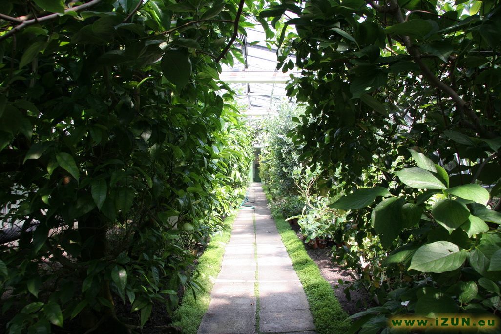 Cestičky skleníky Botanick_zahrada_08