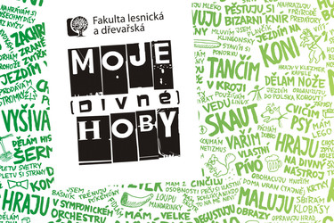 Jsi z FLD a máš podivné hobby? Vydělej na tom!