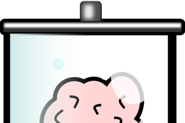 Budíček pro mozek - zachraňte své zkouškové!