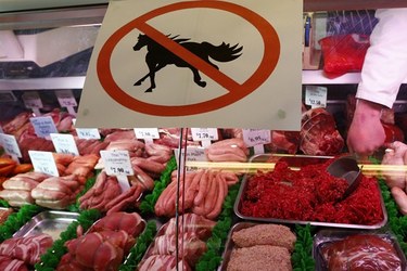 Kůň místo krávy na našem talíři... Velký problém, nebo jen nafouklá bublina?