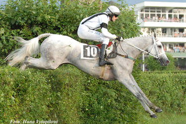 Dočká se Sixteen potomka s japonskými kořeny? Čerstvé informace z Brandejsova statku