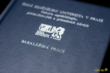 DENÍK ZOUFALÉHO STUDENTA: Bakalářka