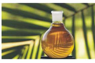 PALMOVÝ OLEJ: Každodenní zabiják téměř všech z nás!