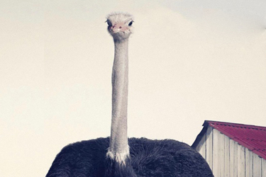 Jeden svět 2013 — „Bojíte se snášet?“