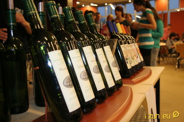 Wine Party padla, ať žije Festival vína!