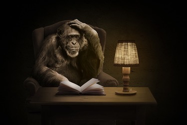 Na pomezí evoluce Darwina a církve