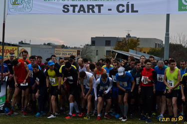 Zemědělec a Rektorův pohár