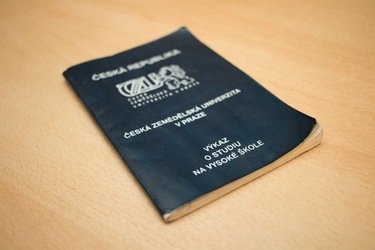 MISE: Vyplň správně index