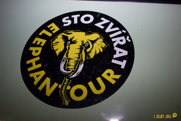 Něžná šelma Jana Jelínková: Hrajeme stozvířatsky!