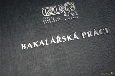 Jak se chopit psaní aneb bakalářka no problem!