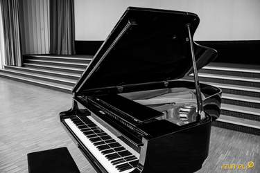 Kdepak ty ptáčku hnízdo máš?