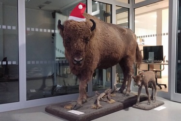 Vánoce dneška, achjo