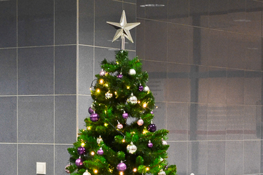 Suchdolská poezie: Máme je tu zas...