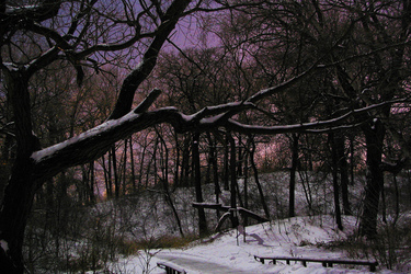 Vánoce pana Patočky