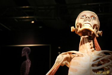 Znáte své tělo? Nahlédněte pod kůži každého z nás