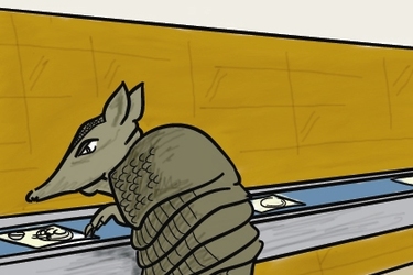 Legendy ČZU: Pásovec uloven