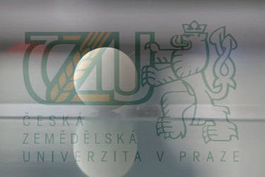 Souboj fakult v soustředění - UniBrain míří na ČZU